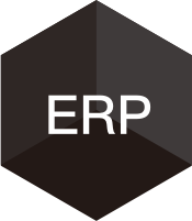 ERP定造化对接