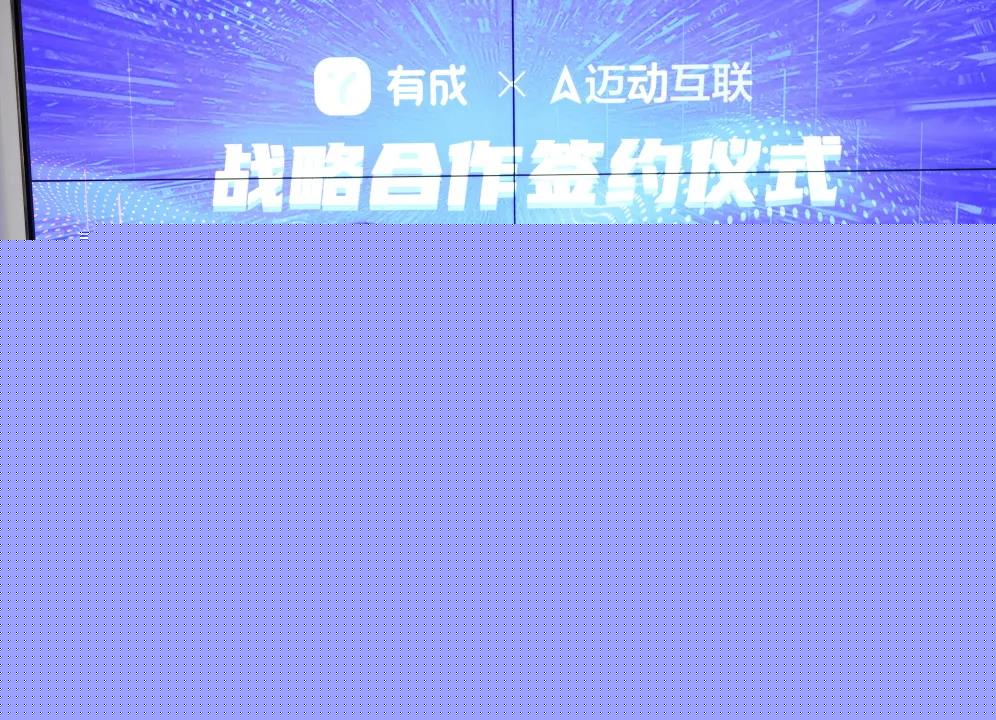 11162151yizu